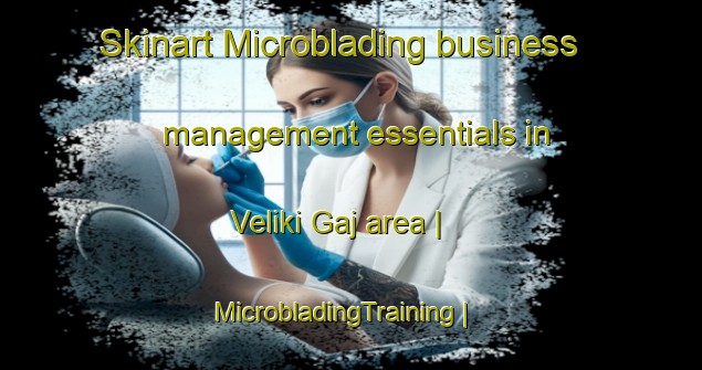 Skinart Microblading business management essentials in Veliki Gaj area | MicrobladingTraining | MicrobladingClasses | SkinartTraining-Serbia